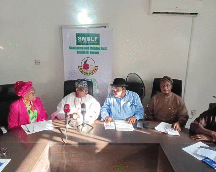 Southern, middle belt leaders seek action on democracy concerns