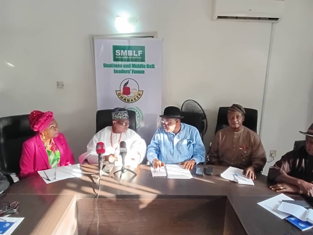 Southern, middle belt leaders seek action on democracy concerns