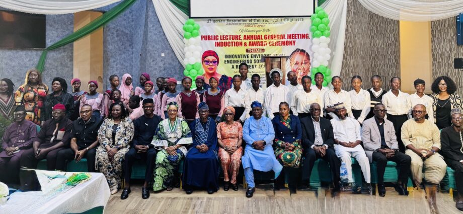 NIEE Abuja holds public lecture, inducts new members
