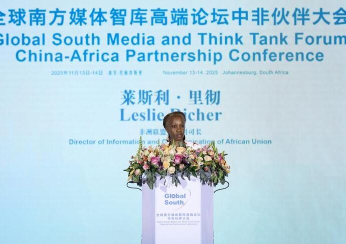 Africa better represented with Global South partnership- AU official
