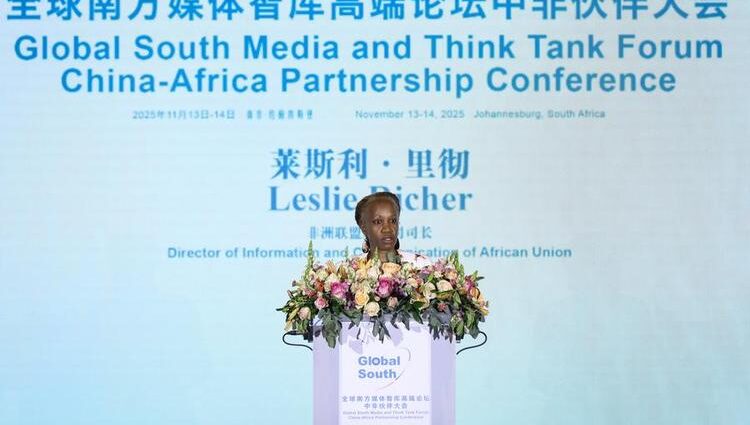 Africa better represented with Global South partnership- AU official