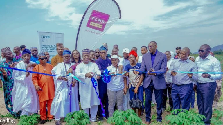 NADF, partners inaugurate project to empower 12,000 women in Oyo