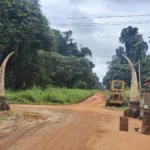 Okomu National Park: Inside Nigeria’s bold community-conservation experiment