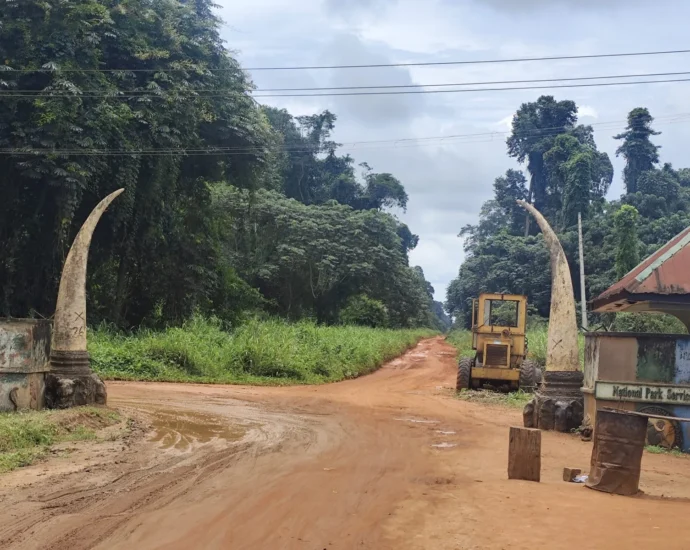 Okomu National Park: Inside Nigeria’s bold community-conservation experiment