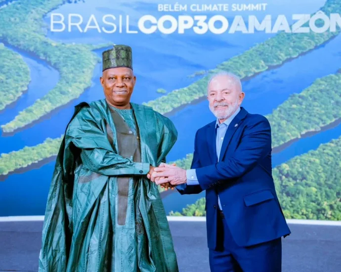 COP 30: Shettima tasks global leaders on reasonable action against climate change