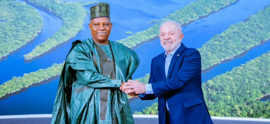 COP 30: Shettima tasks global leaders on reasonable action against climate change