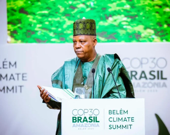 Climate Change: Nigeria seeks increased global financing to restore, protect nature
