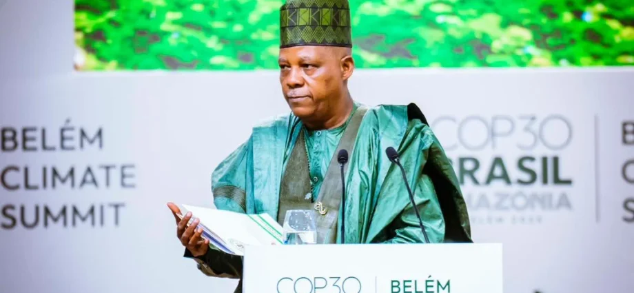 Climate Change: Nigeria seeks increased global financing to restore, protect nature Climate Change: Nigeria seeks increased global financing to restore, protect nature