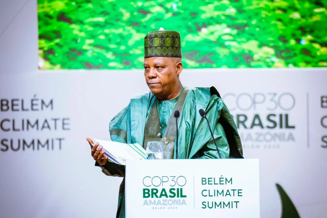 Climate Change: Nigeria seeks increased global financing to restore, protect nature