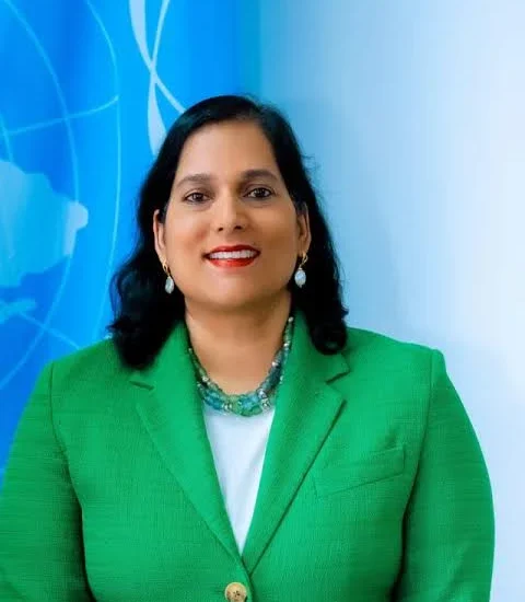 G20 Summit: Nigeria, S/Africa cooperation reflect Africa’s priorities– UNDP