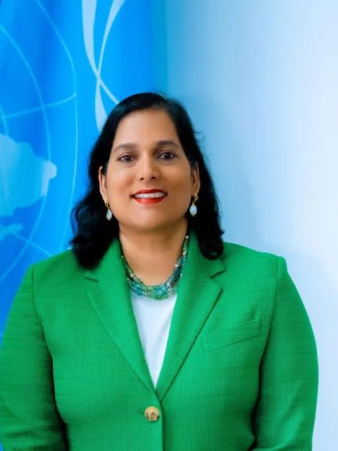 G20 Summit: Nigeria, S/Africa cooperation reflect Africa’s priorities– UNDP