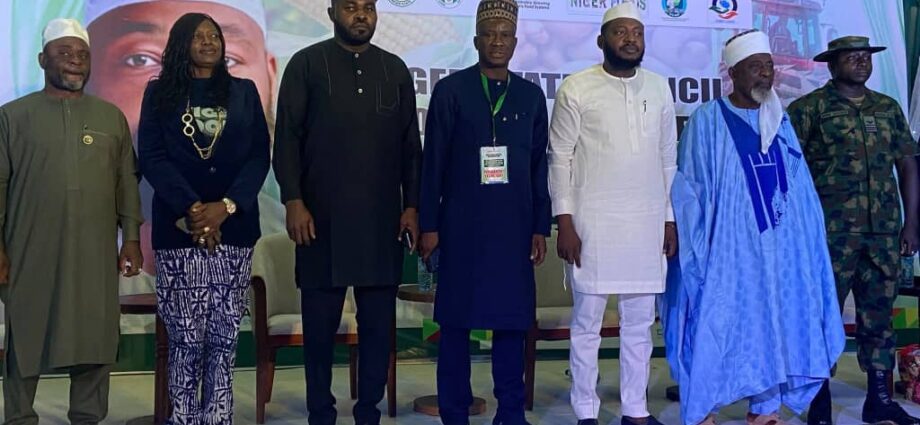 Niger targets top spot in food production -Bago