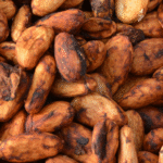 The Income Accelerator: Potential for cocoa farming in Nigeria? The Income Accelerator: Potential for cocoa farming in Nigeria?