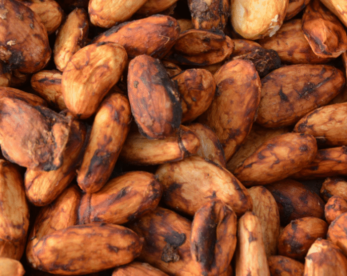 The Income Accelerator: Potential for cocoa farming in Nigeria?