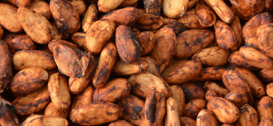 The Income Accelerator Programme: Potential for cocoa farming in Nigeria?