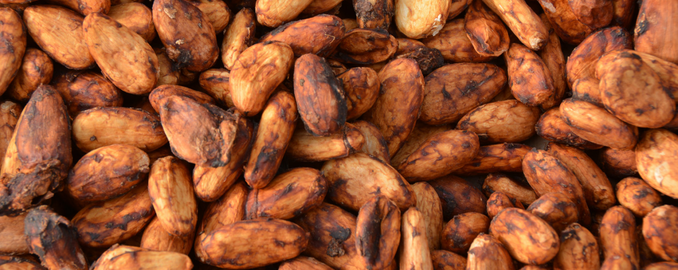 The Income Accelerator Programme: Potential for cocoa farming in Nigeria? The Income Accelerator Programme: Potential for cocoa farming in Nigeria?