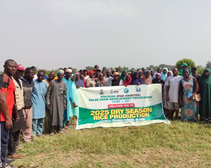 FG/IFAD-VCDP empowers 105 rice farmers in Niger