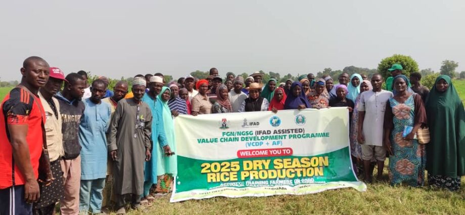 FG/IFAD-VCDP empowers 105 rice farmers in Niger
