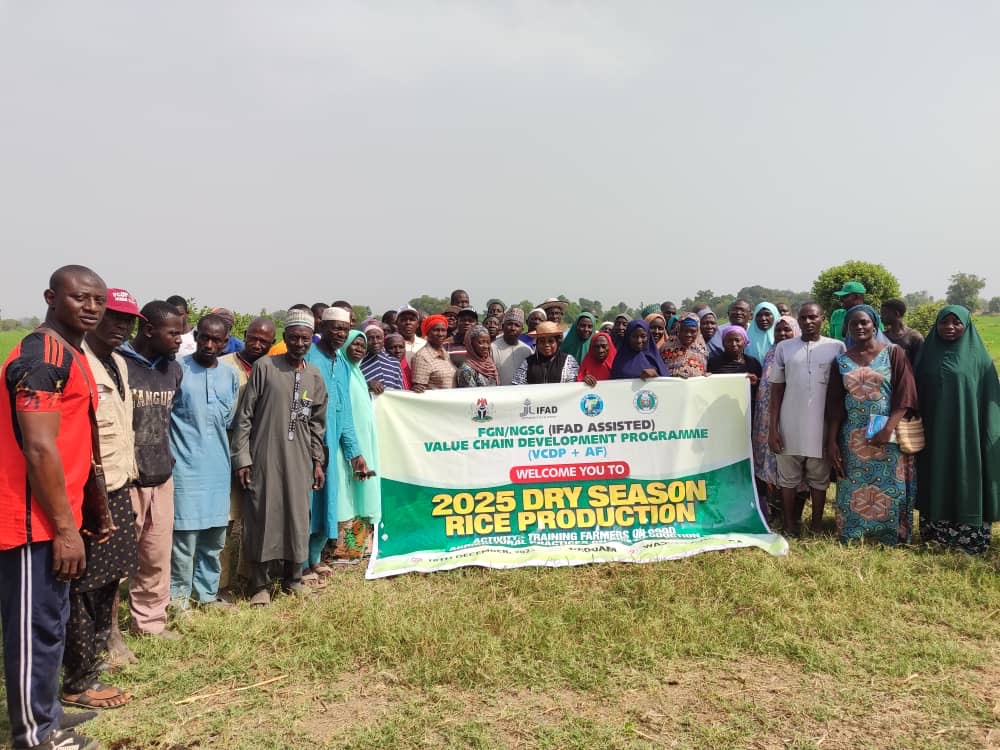 FG/IFAD-VCDP empowers 105 rice farmers in Niger