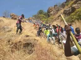 Thousands of Gombe youth ascend Bima Hill in dazzling festival kick-off Thousands of Gombe youth ascend Bima Hill in dazzling festival kick-off