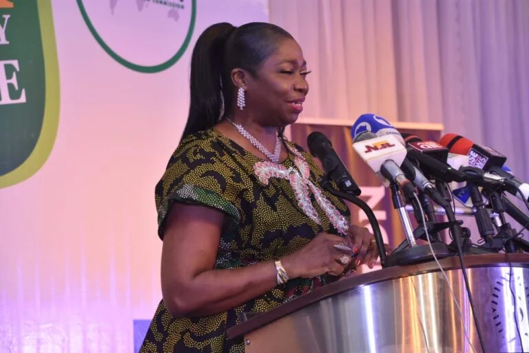 Insecurity: Dabiri-Erewa warns Nigerians against risky migration