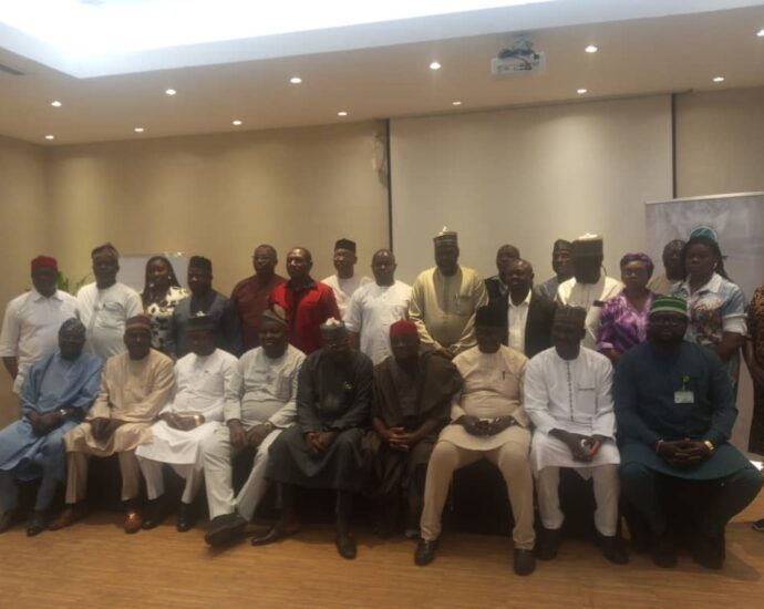 CISLAC seeks competitive green economy, innovation, energy security for Nigerians