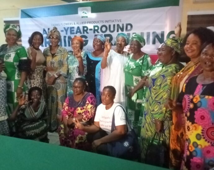 Expert urges Nigerians to adopt year-round resilient farming