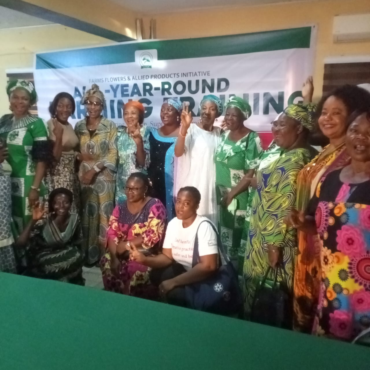 Expert urges Nigerians to adopt year-round resilient farming