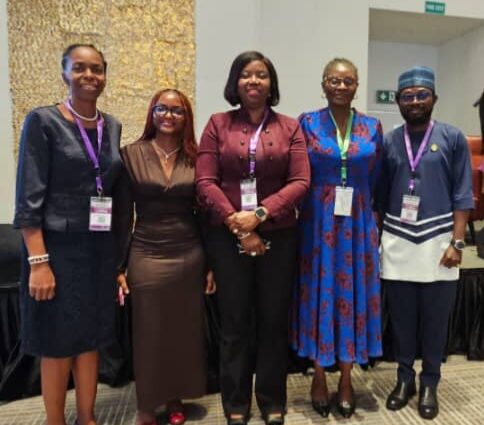 APHPN advocates leveraging technology to enhance healthcare delivery