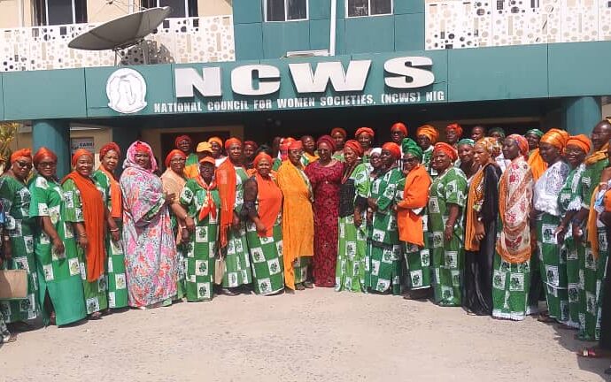 NCWS, SEC call for protection against digital GBV