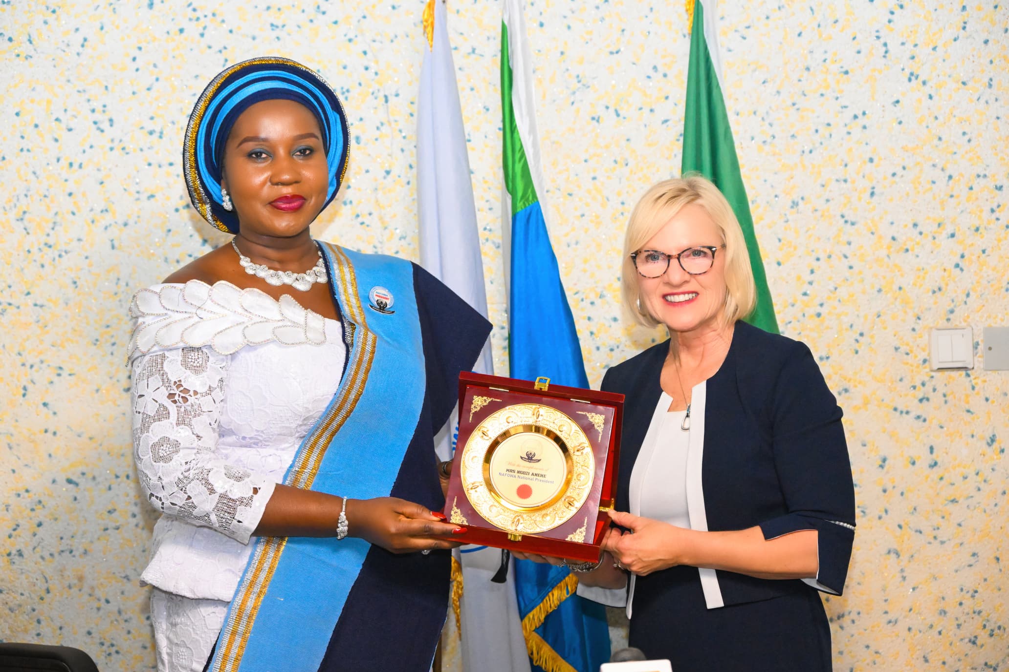 NAFOWA seeks global partnership to boost humanitarian activities