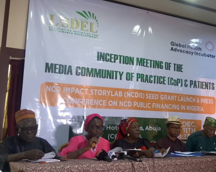 Stakeholders advocate higher NCD funding, UHC integration