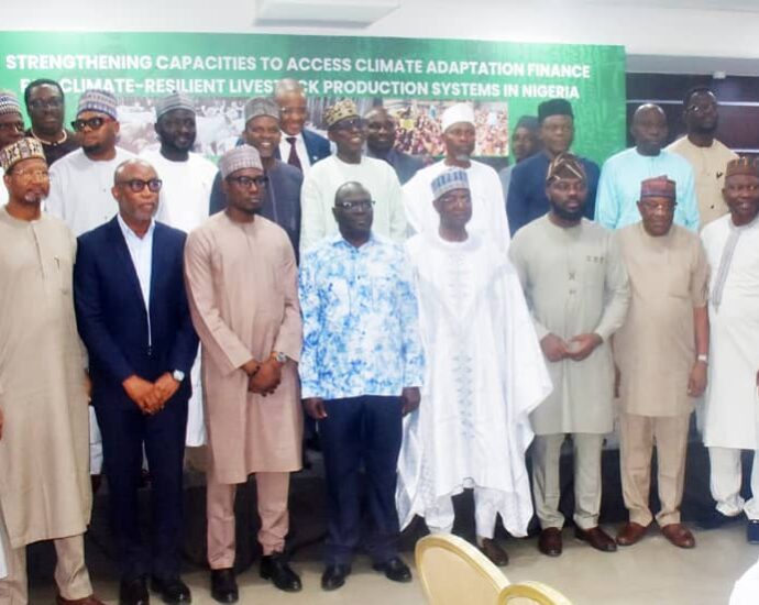 FG, others synergise on climate adaptation financing, sustainable livestock devt