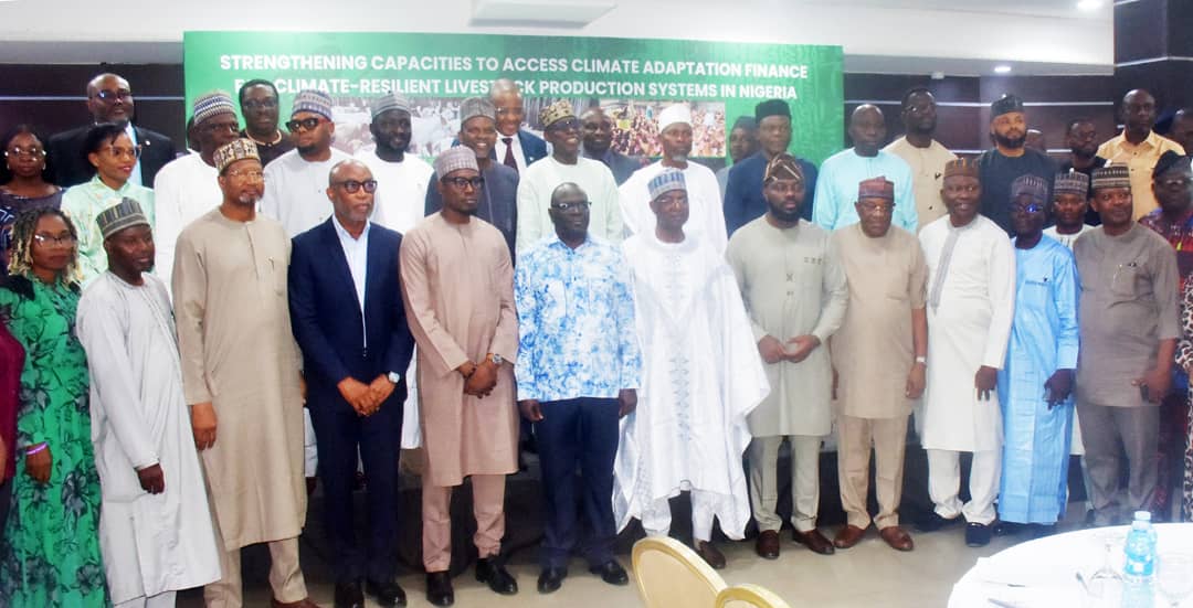 FG, others synergise on climate adaptation financing, sustainable livestock devt FG, others synergise on climate adaptation financing, sustainable livestock devt
