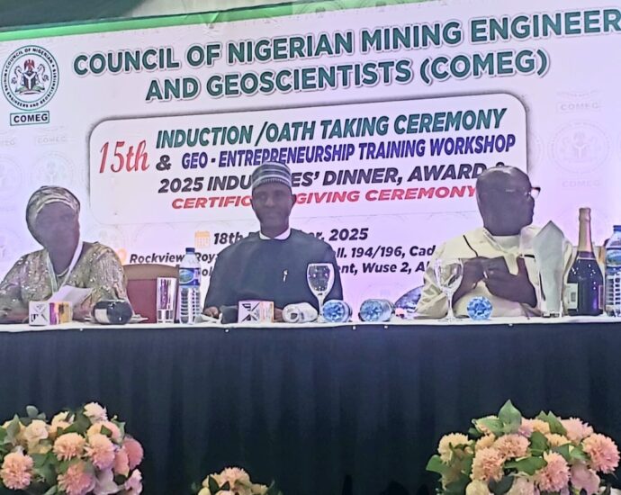 FG rallies professional groups to curb quackery in mining