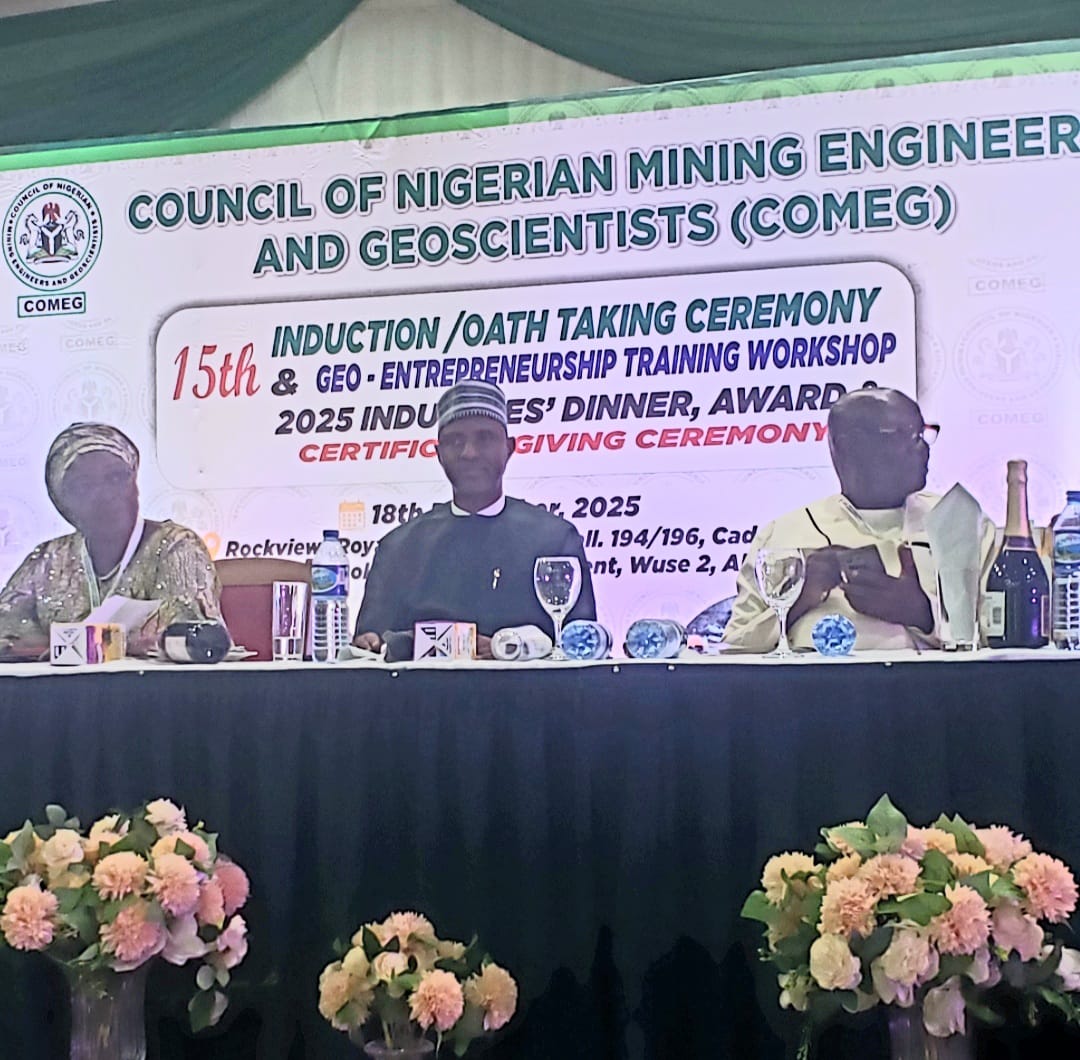 FG rallies professional groups to curb quackery in mining