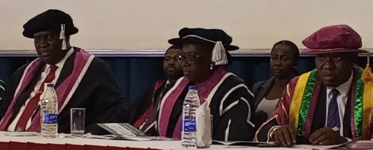 Law anchors political stability, guarantees economic confidence – CJN