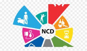 NCD patients urge FG to release 2025 funds, meet UHC goals