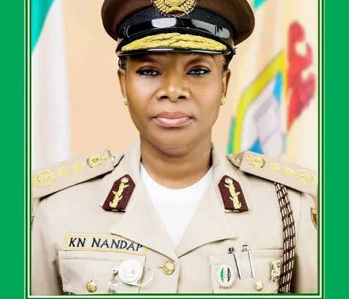 Border security: Nigeria re-elected to ICAO-PKD board Border security: Nigeria re-elected to ICAO-PKD board