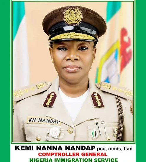 Border security: Nigeria re-elected to ICAO-PKD board