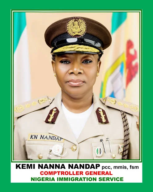 Border security: Nigeria re-elected to ICAO-PKD board