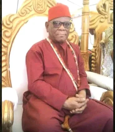 Delta traditional ruler traces Anioma people’s ancestry to Igbo, South-East
