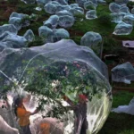 Moscow news agency opens international photo contest application