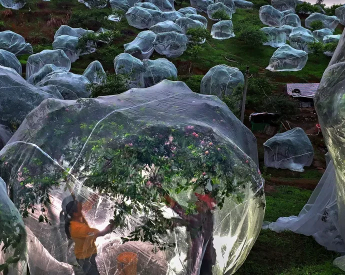 The 12th Andrei Stenin International Press Photo Contest Opens in Moscow