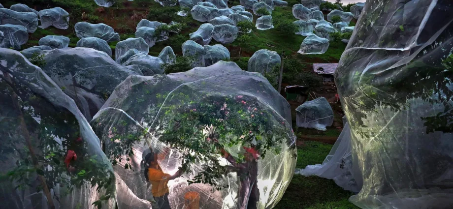 The 12th Andrei Stenin International Press Photo Contest Opens in Moscow