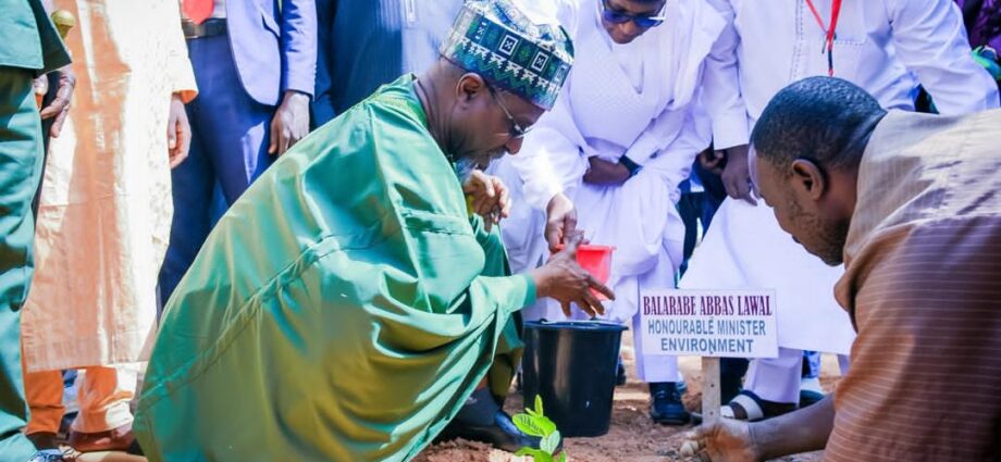 FG renews commitment to tackle climate change, biodiversity loss, pollution