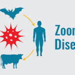 Expert warns of zoonotic disease risks during harmattan Expert warns of zoonotic disease risks during harmattan