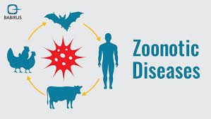 Expert warns of zoonotic disease risks during harmattan