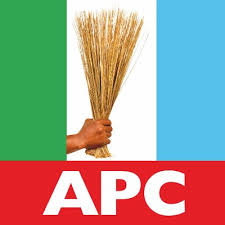 Gender inclusion tops APC’s North-East public hearing on constitutional review