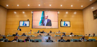Stability, water resources take centre stage at annual AU meeting Stability, water resources take centre stage at annual AU meeting